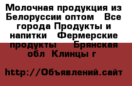 Молочная продукция из Белоруссии оптом - Все города Продукты и напитки » Фермерские продукты   . Брянская обл.,Клинцы г.